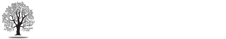 True Resilience Scale